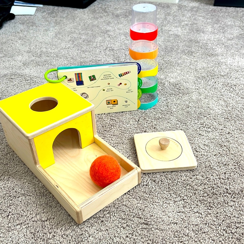 Lovevery Play Kit 7-8months